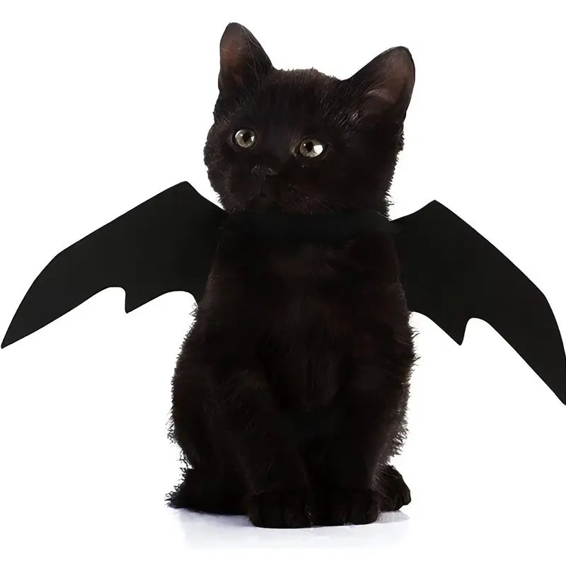 Pet Soft Black Cat Bat Wings Costume for Halloween - Available in Small, Medium, and Large Sizes