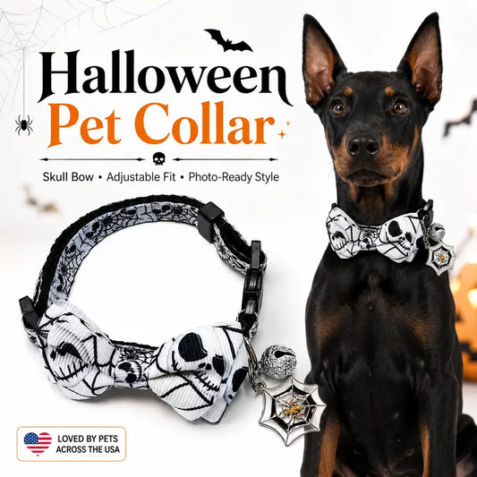Adjustable Halloween Pet Collar for Cats and Dogs with Skull Bow Tie, Spider Web Charm, and Playful Bell - Ideal for Festive Outfits and Photo Opportunities